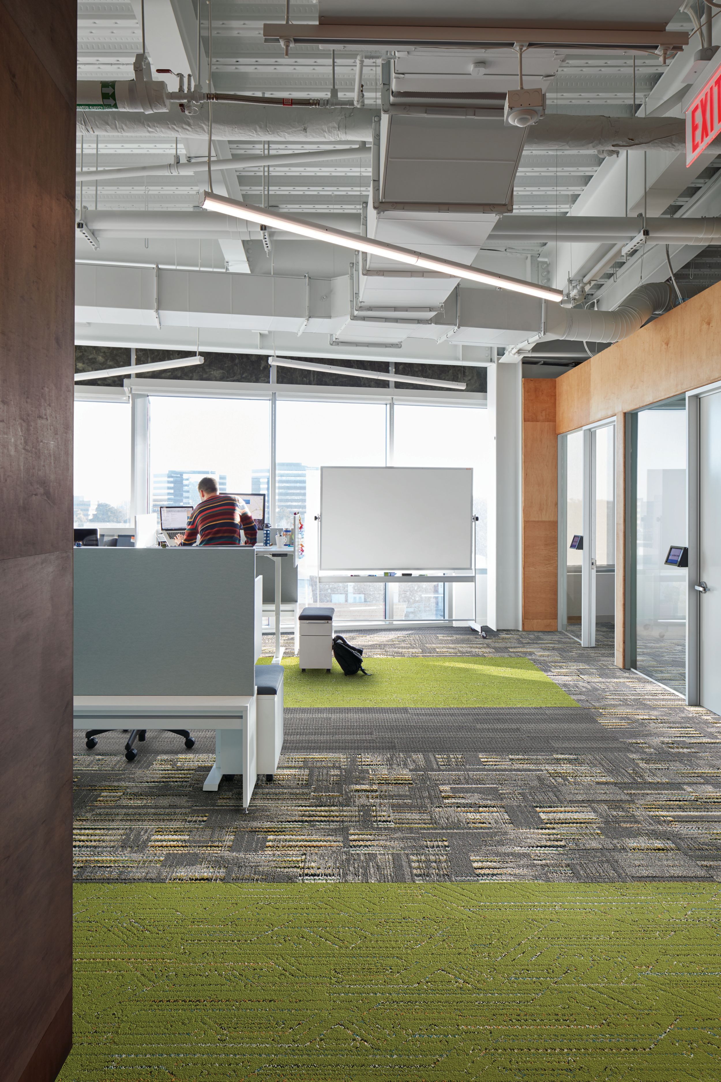 Interface Hard Drive, Stitchery and Circuit Board carpet tiles if office with cubicles and focus rooms and man working on computer imagen número 6